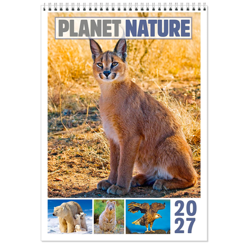 Planet Nature Memo calendar