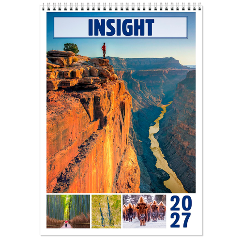 INSIGHT MEMO CALENDAR