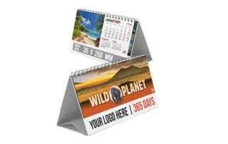 Tara Slevin Desk Calendars
