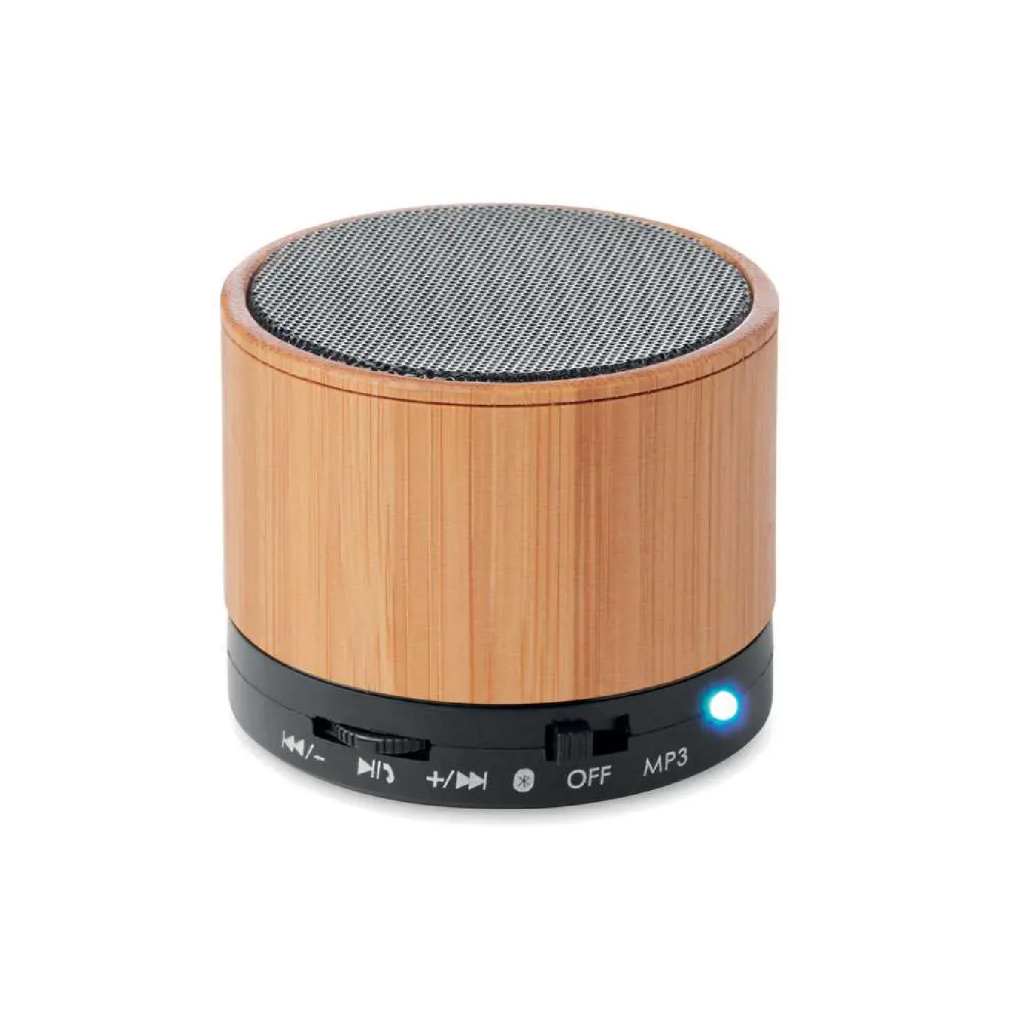 Promotional Technology Speakers