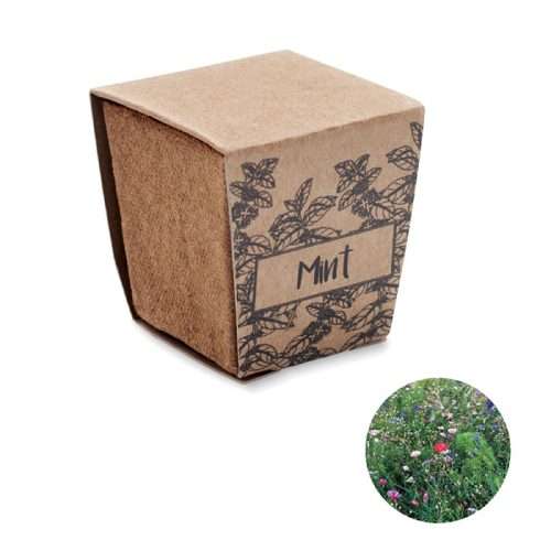 mint growing kit