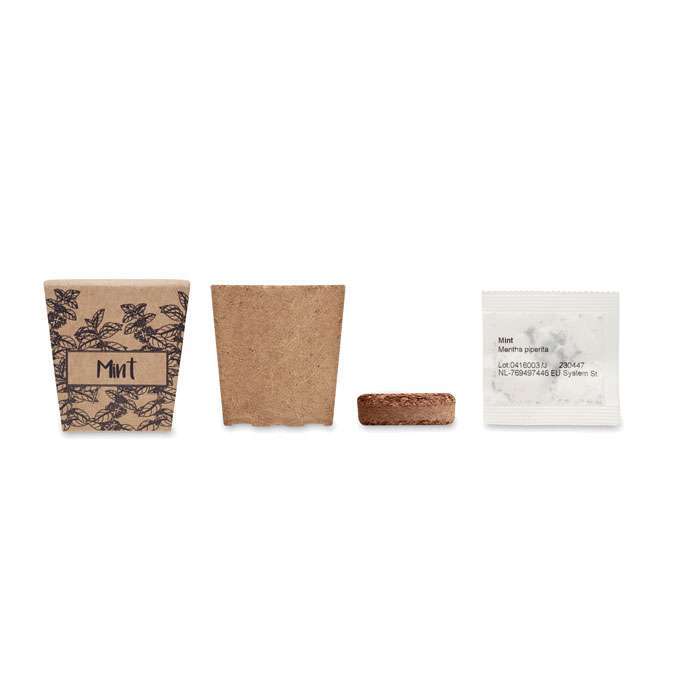 Mint Growing Kit - Image 3