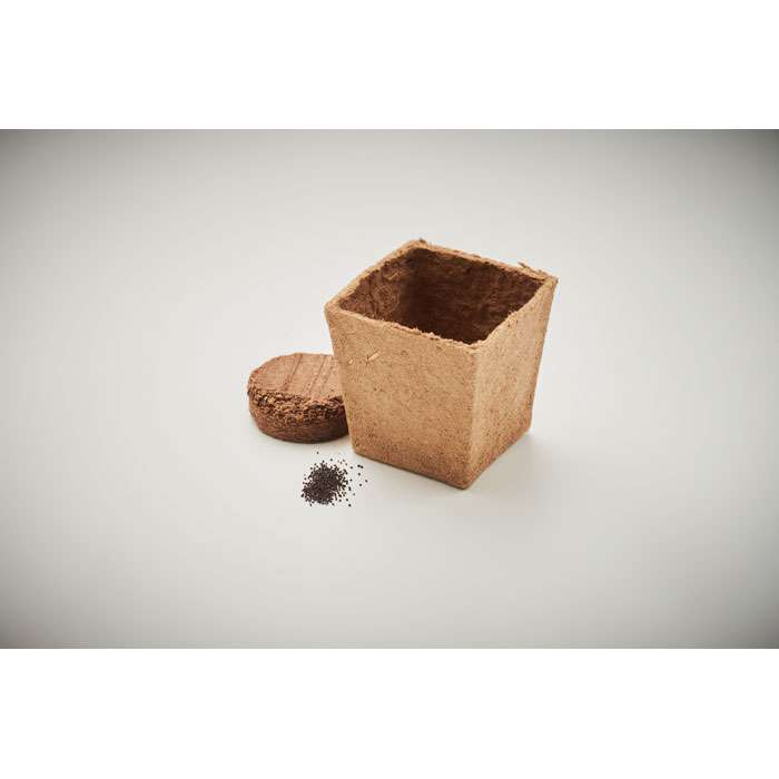Mint Growing Kit - Image 4