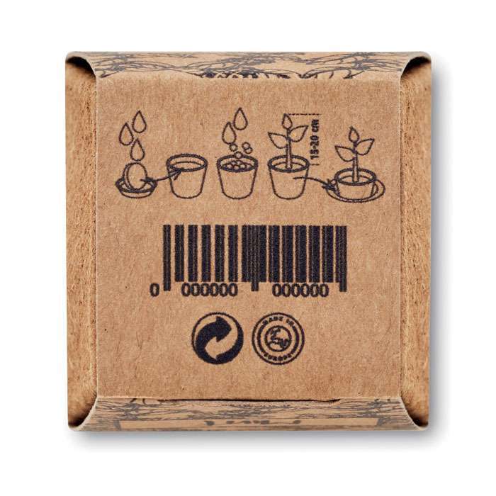 Mint Growing Kit - Image 6