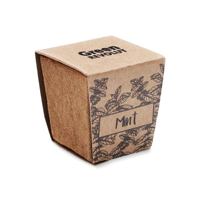 Mint Growing Kit - Image 2