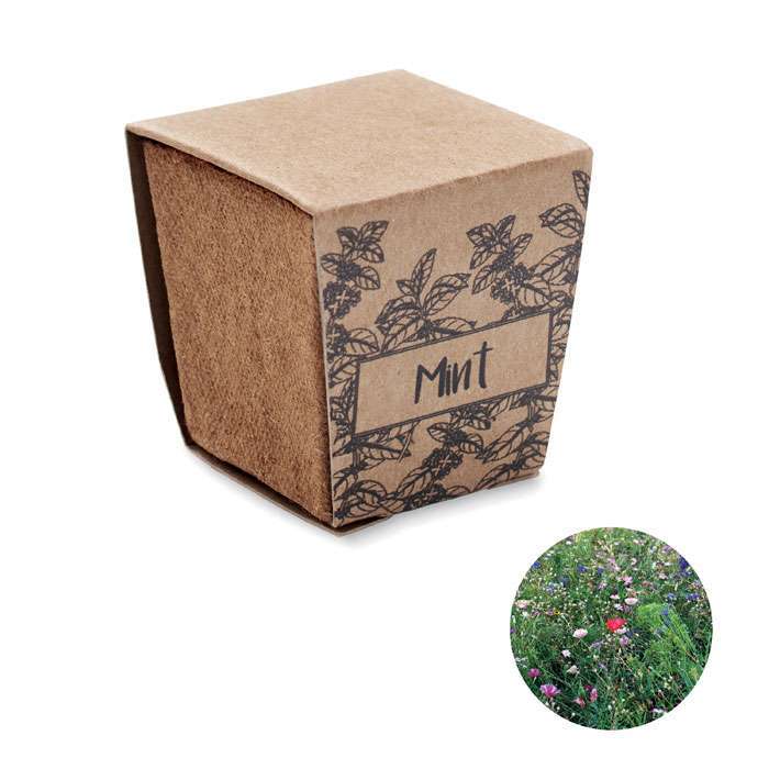 mint growing kit