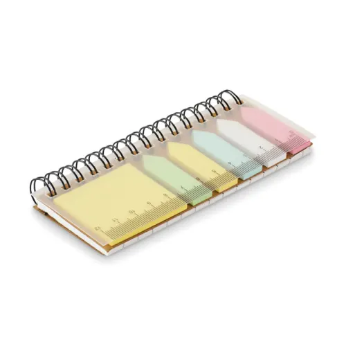 Memo pad with sticky notes